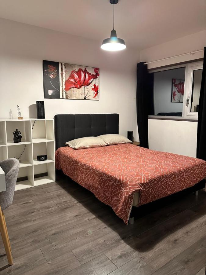 アンヌマスMagnifique Loft - Hyper Centreアパートメント エクステリア 写真